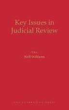 Key Issues in Judicial Review