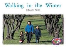 Walking in the Winter PM Non Fiction Level 14&15 Time and Season Green