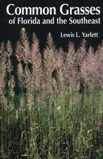 Common Grasses of Florida & The Southeast