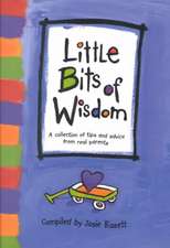 Little Bits of Wisdom: A Collection of Tips and Advice for Real Parents