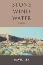 Stone Wind Water: Poems