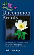 Uncommon Beauty