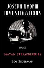 Joseph Radkin Investigations - Book 5