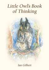 Little Owl's Book of Thinking