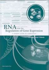 RNA and the Regulation of Gene Expression: A Hidden Layer of Complexity