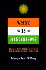 What Is Hinduism?: Radical New Perspectives on the Most Ancient of Religions