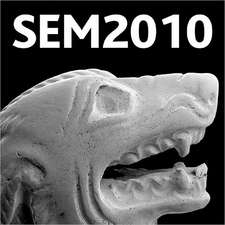 Historical Technology, Materials and Conservation: Sem and Microanalysis