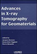 Advances in X–ray Tomography for Geomaterials