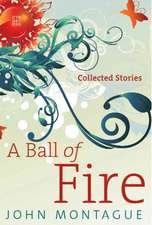 A Ball of Fire: Collected Stories