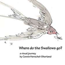 Where Do the Swallows Go?