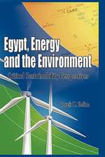 Egypt, Energy and the Environment: Critical Sustainability Issues (Hb)