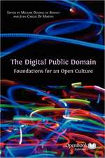 The Digital Public Domain