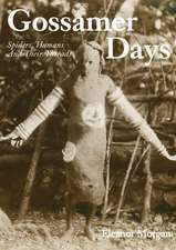 Gossamer Days – Spiders, Humans and Their Threads