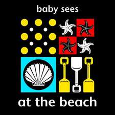 Baby Sees: At the Beach