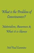 What Is the Problem of Consciousness?: Materialism, Awareness & What-It-Is-Likeness