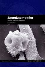 Acanthamoeba