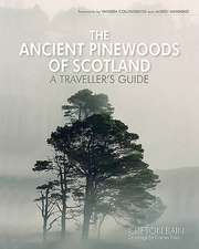 The Ancient Pinewoods of Scotland