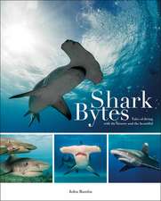 Shark Bytes – Tales of Diving with the Bizarre and the Beautiful