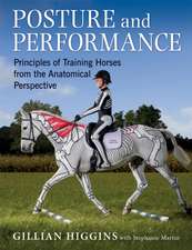 Higgins, G: Posture and Performance