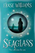 Williams, E: Seaglass