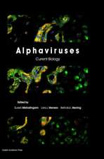 Alphaviruses