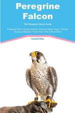 Peregrine Falcon The Peregrine Falcon Guide Peregrine Falcon Guide Includes