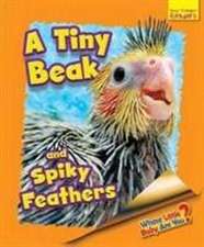 Whose Little Baby Are You? A Tiny Beak and Spiky Feathers