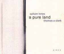 Callum Innes - a pure land