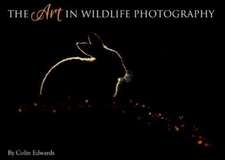 Art in Wildlife Photography