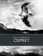 Osprey