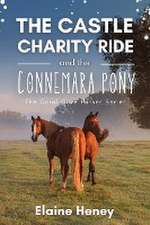 The Castle Charity Ride and the Connemara Pony - The Coral Cove Horses Series