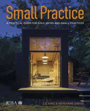 Small Practice: A practical guide for solo, micro and small practices