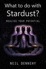 What to do with Stardust?