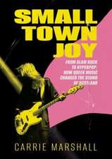 Marshall, C: Small Town Joy