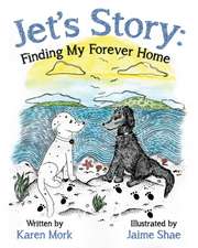 Jet's Story