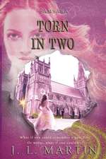 Martin, J: Torn In Two