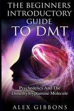 The Beginners Introductory Guide To DMT - Psychedelics And The Dimethyltryptamine Molecule