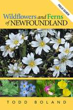 Wildflowers and Ferns of Newfoundland: Field Guide