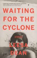 Waiting for the Cyclone: Stories