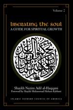 Liberating the Soul: A Guide for Spiritual Growth, Volume Two