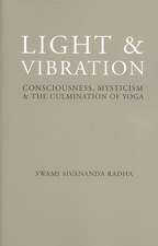 Light & Vibration: Consciousness, Mysticism & the Culmination of Yoga