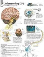 Understanding CNS Chart: Wall Chart