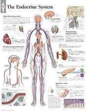 The Endocrine System Chart: Laminated Wall Chart