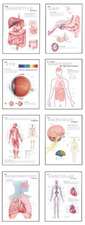 Human Anatomy Chart Pack