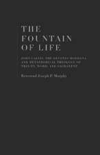 The Fountain of Life: John Calvin, the Devotio Moderna and Metaphorical Theology of Trinity, Word, and Sacrament