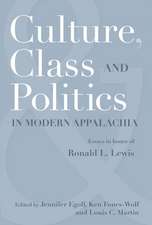 CULTURE, CLASS, AND POLITICS IN MODERN APPALACHIA: ESSAYS IN HONOR OF RONALD L. LEWIS