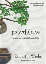 Prayerfulness: Awakening to the Fullness of Life