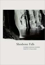 Shoshone Falls