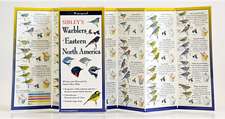 Sibley's Warblers of Eastern North America