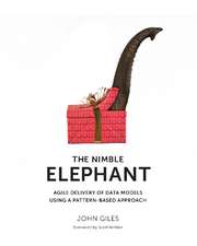 Nimble Elephant,: Agile Delivery of Data Models Using a Pattern-Based Approach